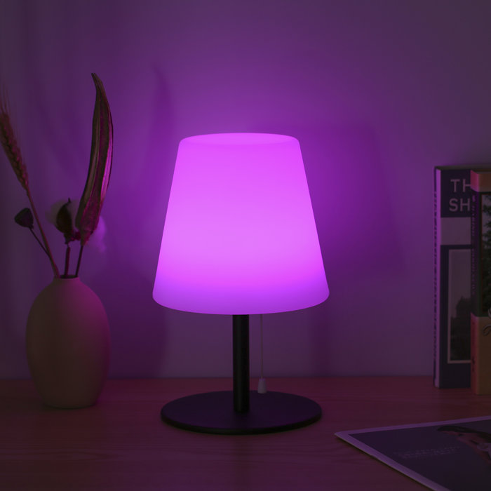 Ebern Designs Arand USB Desk Lamp Wayfair